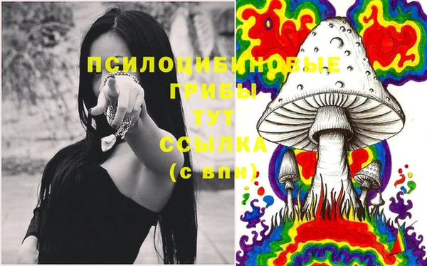дмт Белоозёрский